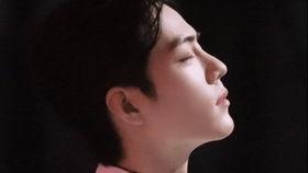 肖战视频爆料素材网站,揭秘明星幕后生活片段  第2张