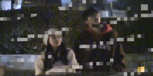 嘎子爆料秘密视频大全,独家视频大揭秘，带你走进神秘世界  第3张